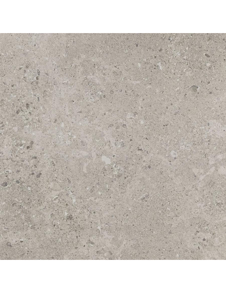 Marazzi-mystone-gris-fleury-taupe 60x120