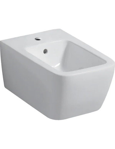 Geberit Icon Square Sanitari sospesi vaso rimfree, bidet e coprivaso soft close