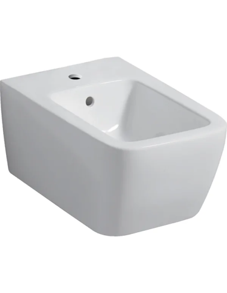 Geberit Icon Square Sanitari sospesi vaso rimfree, bidet e coprivaso soft close