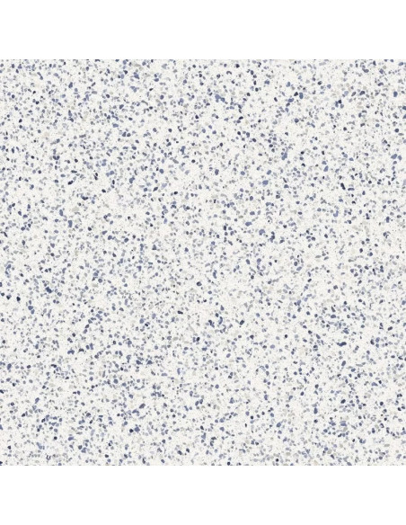 Marazzi Frammento Macro Azzurro 120x120 MMZY - Miglior Prezzo