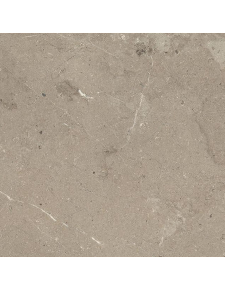Marazzi Mystone Limestone Taupe 60x60 M7E9 - Miglior Prezzo