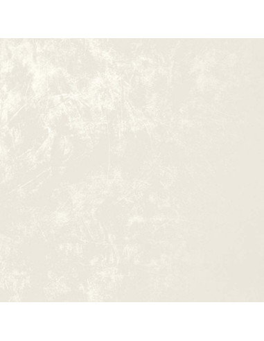 casalgrande padana resina white rettificato 60X120