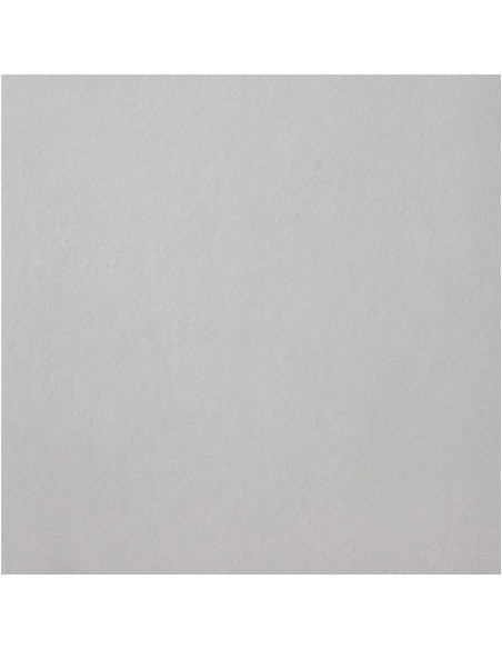 casalgrande padana spazio argento rettificato 60x60