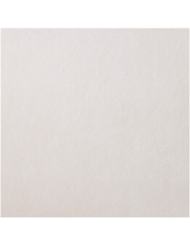 casalgrande padana spazio beige rettificato 60x60