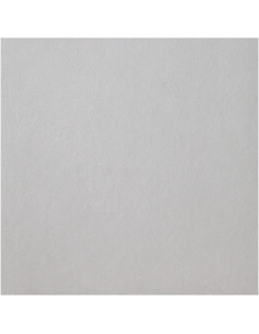 casalgrande padana spazio argento rettificato 75,5x75,5